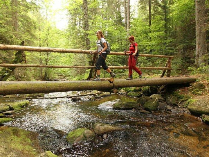 Bolfenk B6 Διαμέρισμα Hočko Pohorje Εξωτερικό φωτογραφία